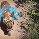 Illustration for article titled Adventure Tested: Ruffwear Approach Dog Pack